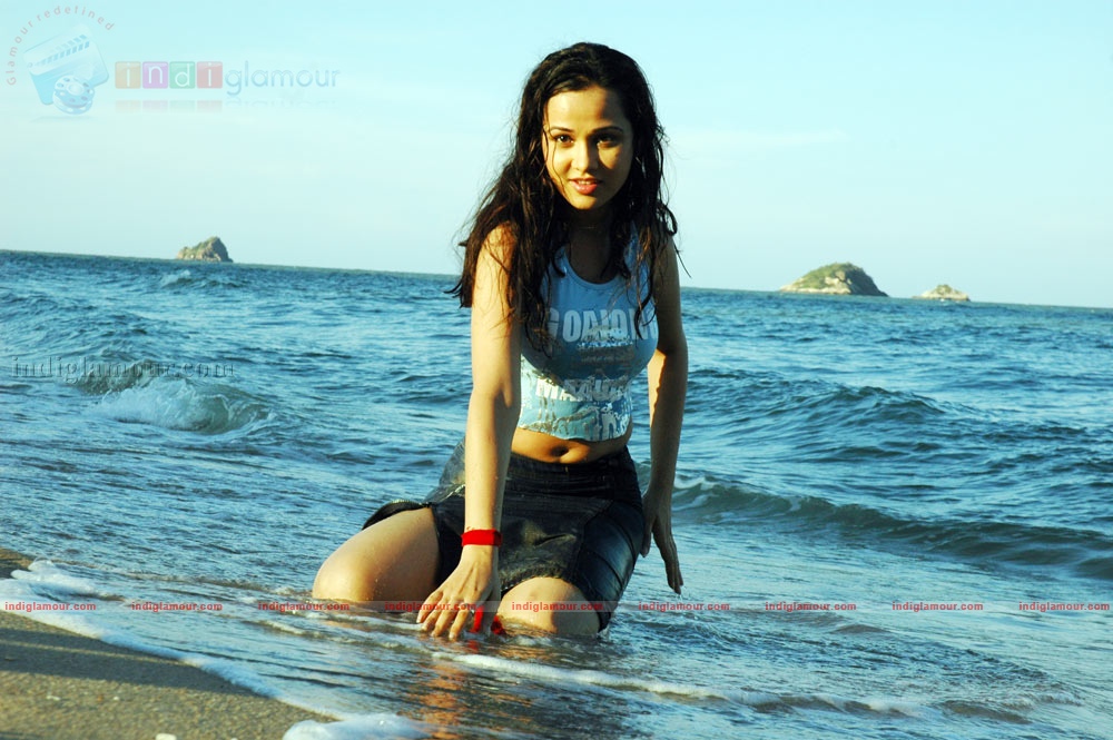 Nisha Kothari Actress hd photo