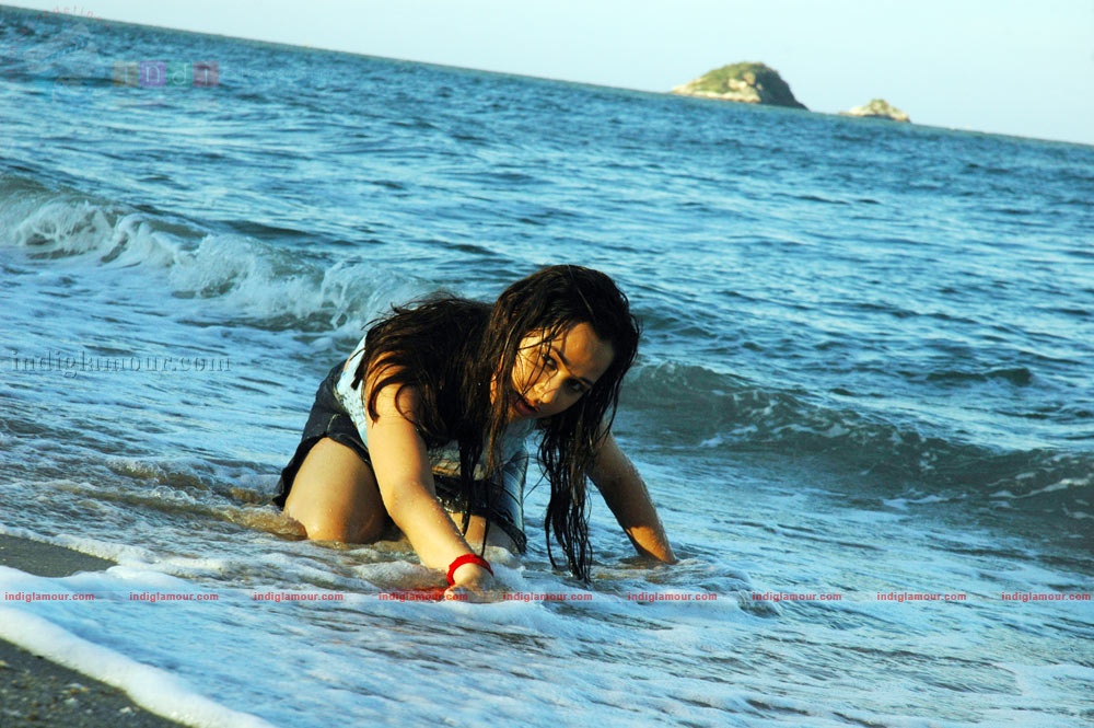 Nisha Kothari Actress hd photo