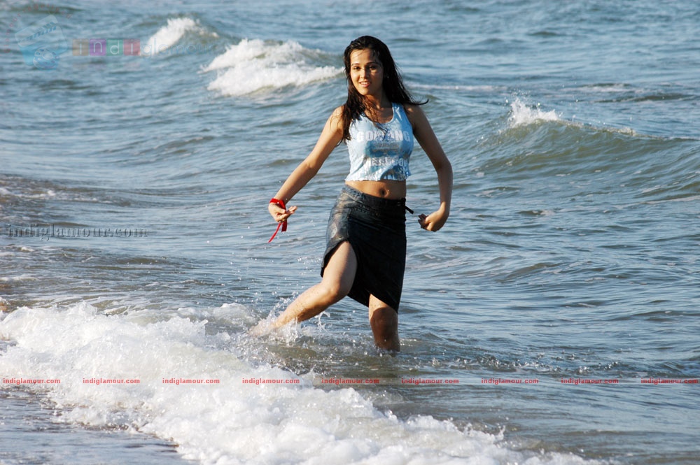 Nisha Kothari Actress hd photo