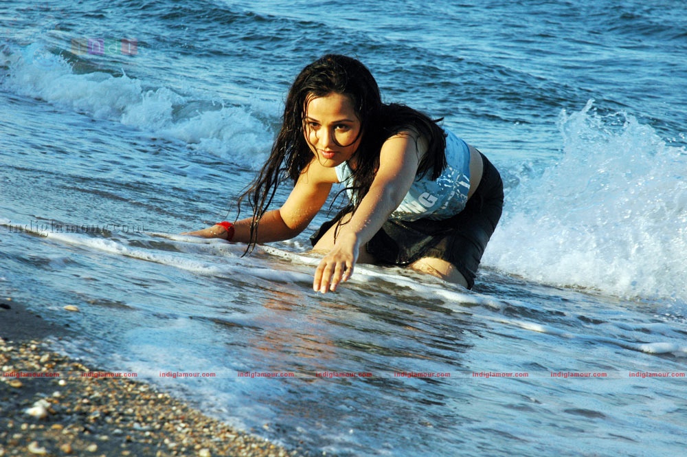 Nisha Kothari Actress hd photo