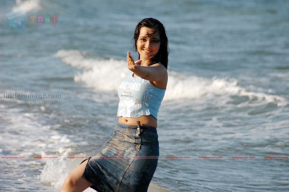 Nisha Kothari Actress hd photo