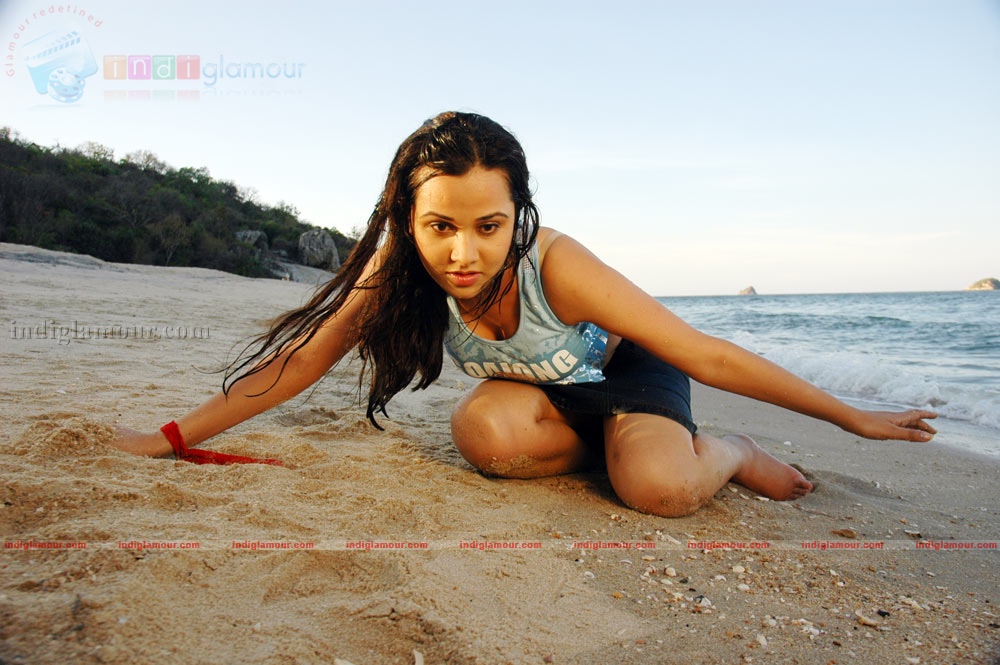 Nisha Kothari Actress hd photo