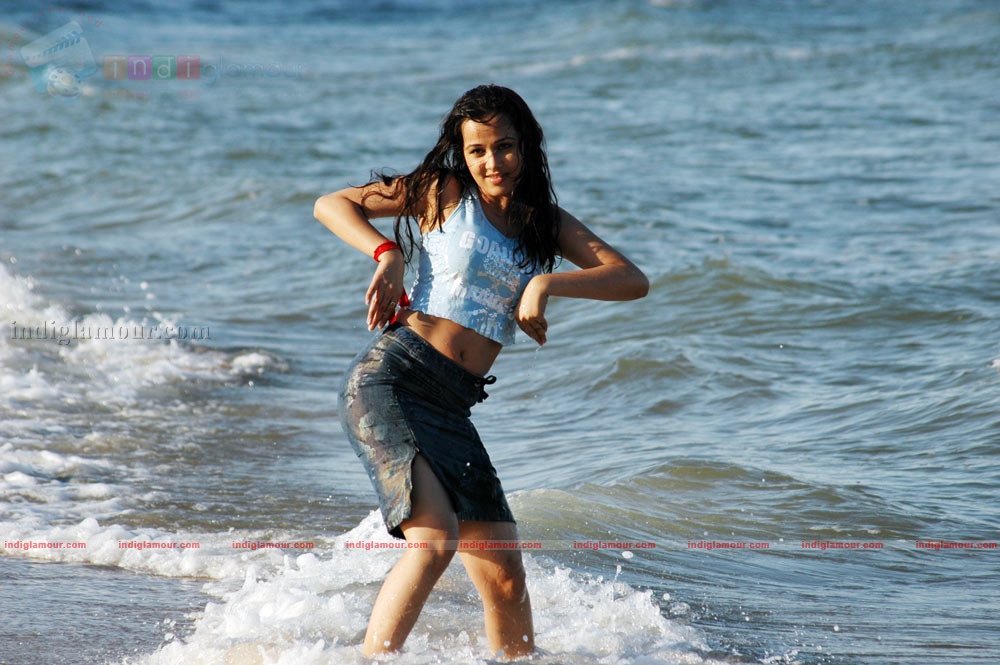 Nisha Kothari Actress hd photo