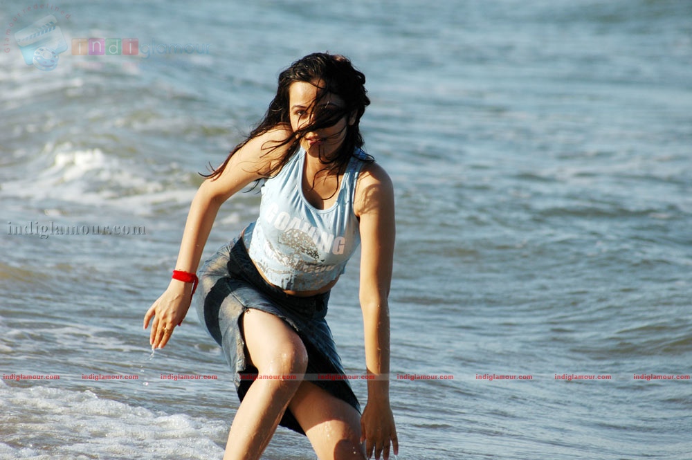 Nisha Kothari Actress hd photo