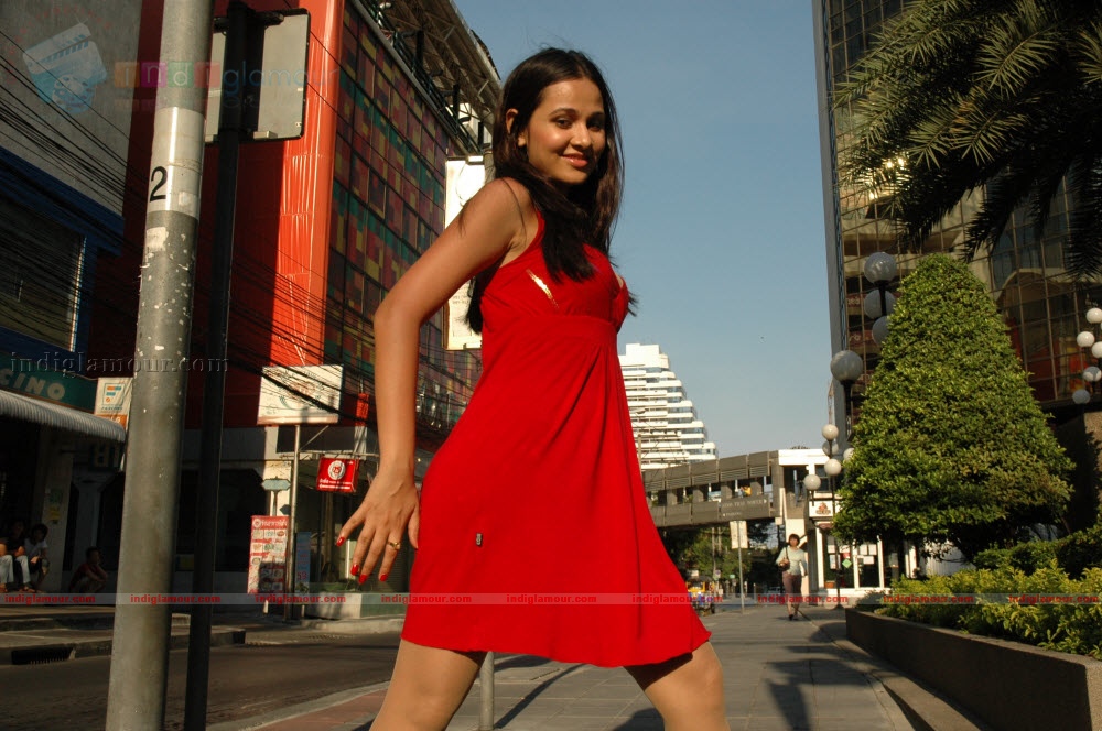 Nisha Kothari Actress hd photo