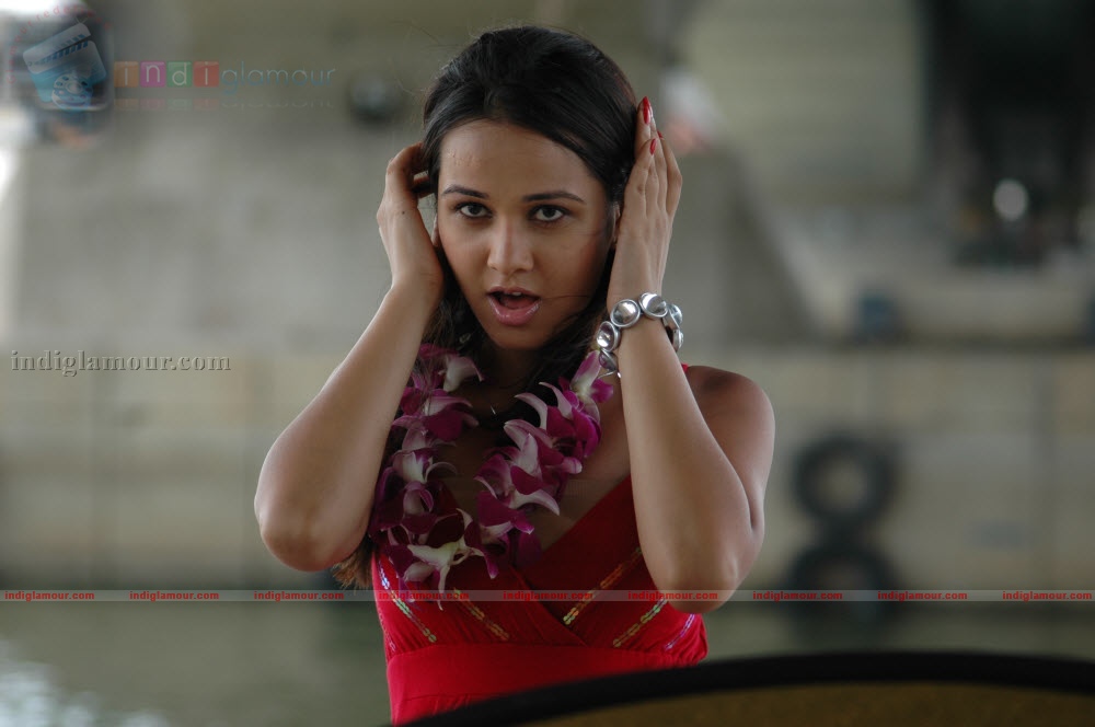 Nisha Kothari Actress hd photo
