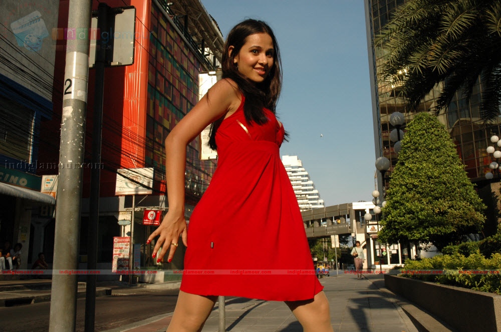 Nisha Kothari Actress hd photo