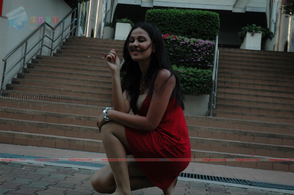 Nisha Kothari Actress hd photo