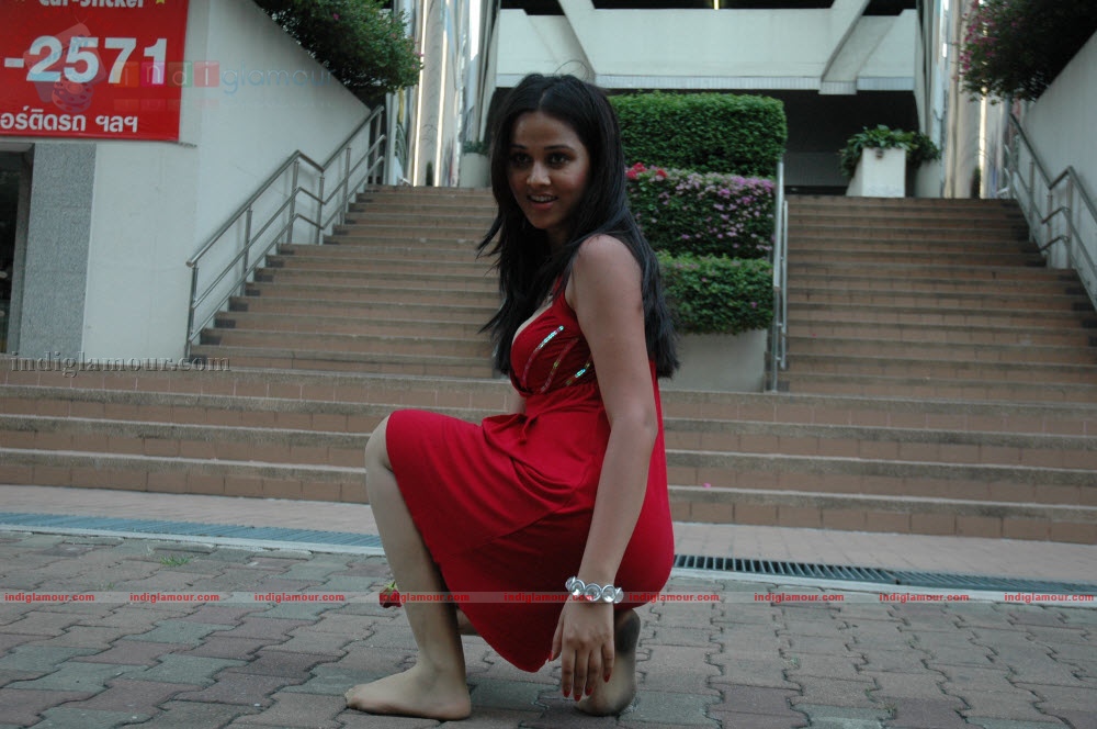 Nisha Kothari Actress hd photo