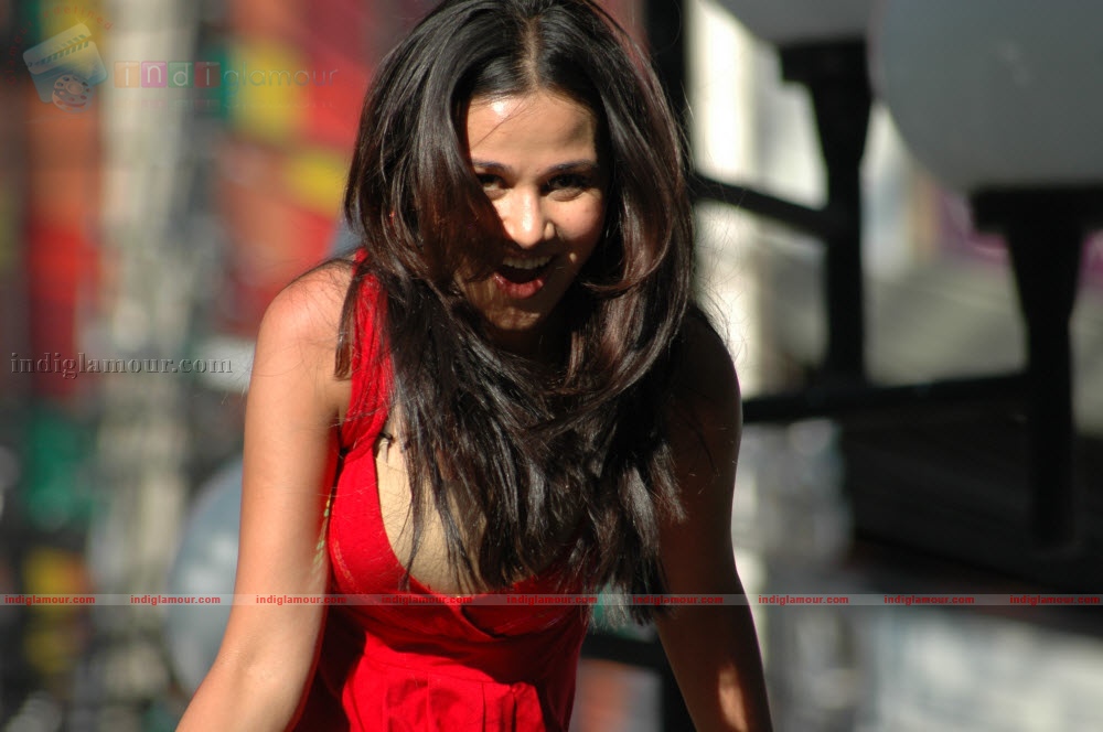 Nisha Kothari Actress hd photo