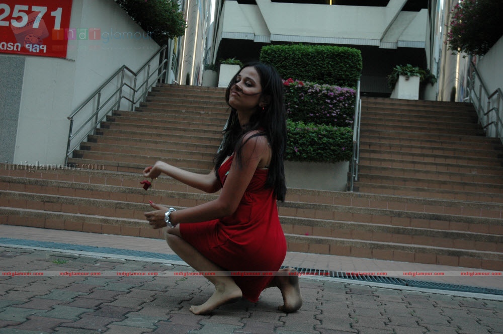 Nisha Kothari Actress hd photo