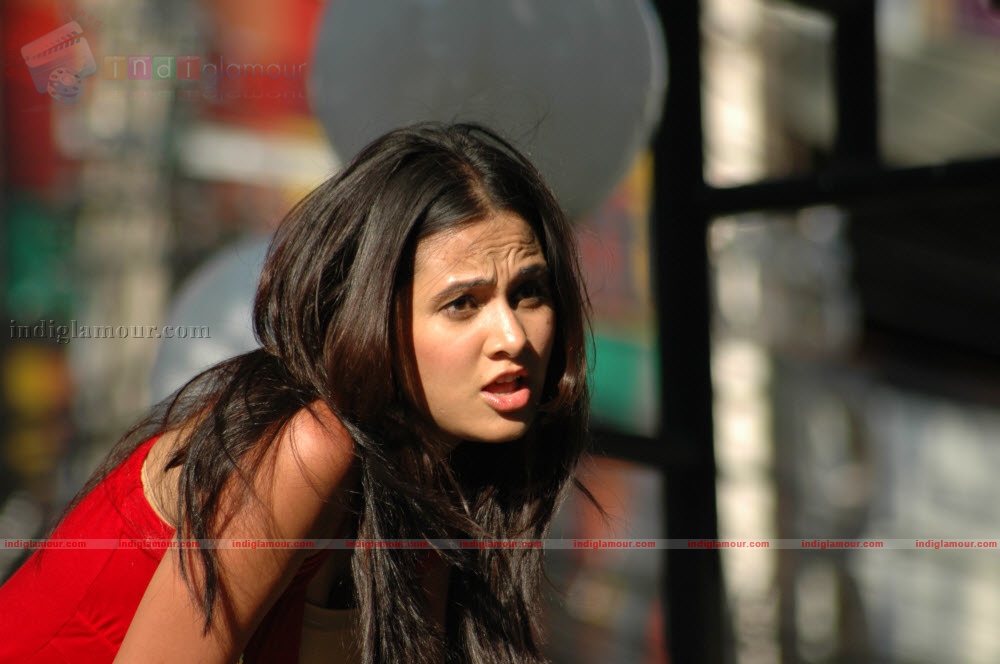 Nisha Kothari Actress hd photo