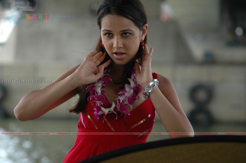 Nisha Kothari Actress hd photo