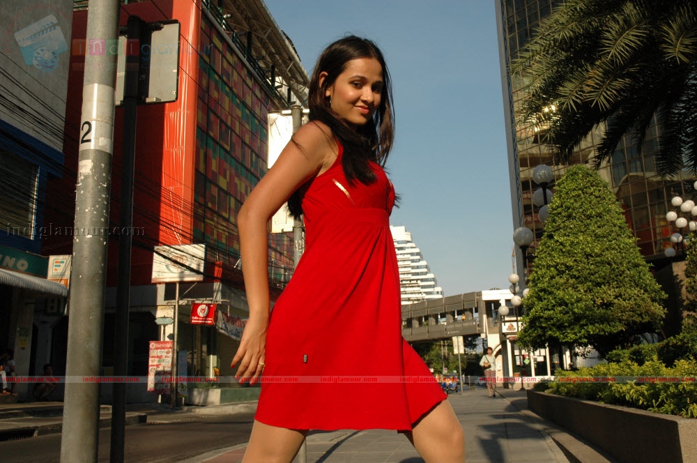 Nisha Kothari Actress hd photo