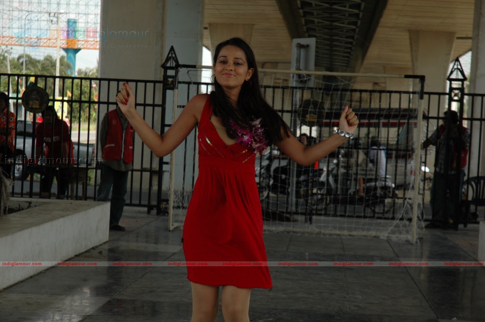 Nisha Kothari Actress hd photo