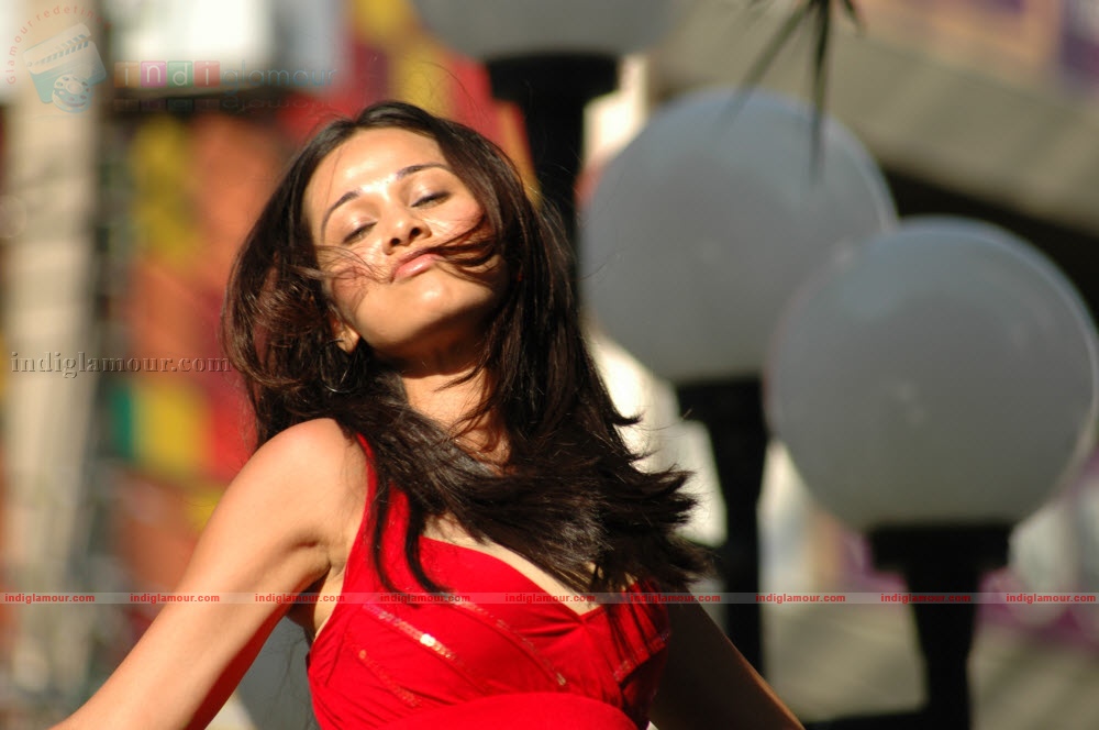 Nisha Kothari Actress hd photo