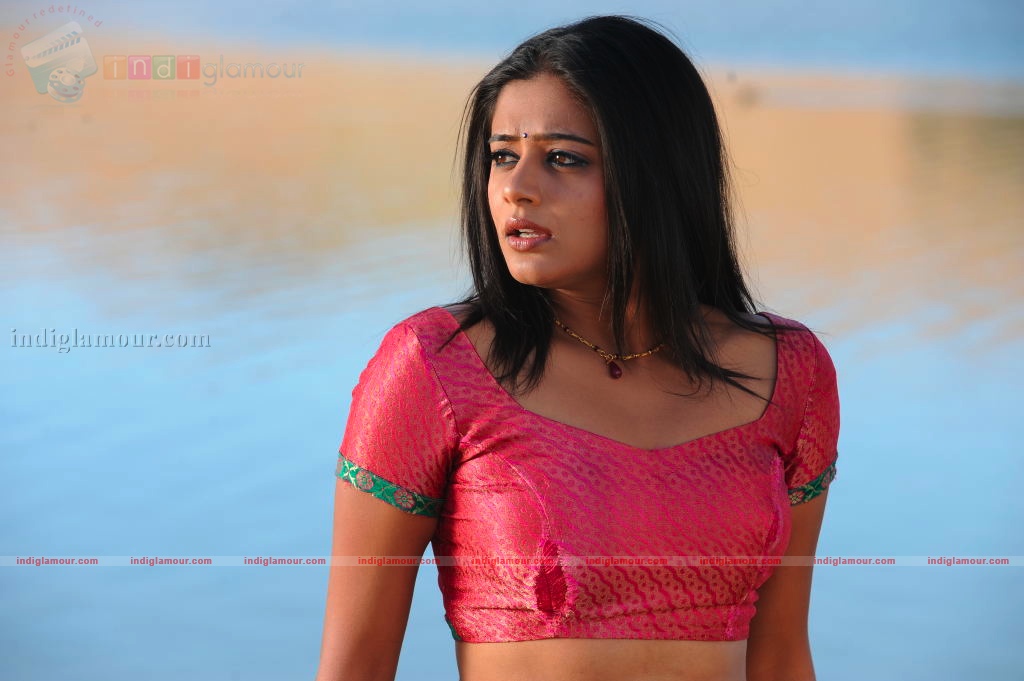 Priyamani Actress hd photo