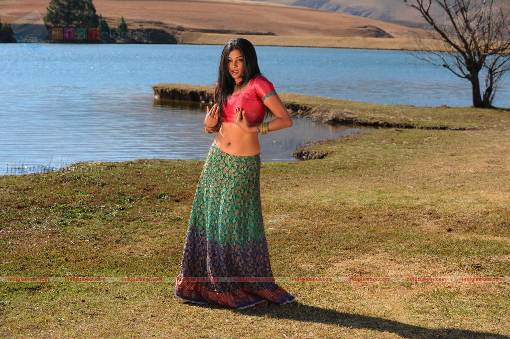 Priyamani Actress hd photo