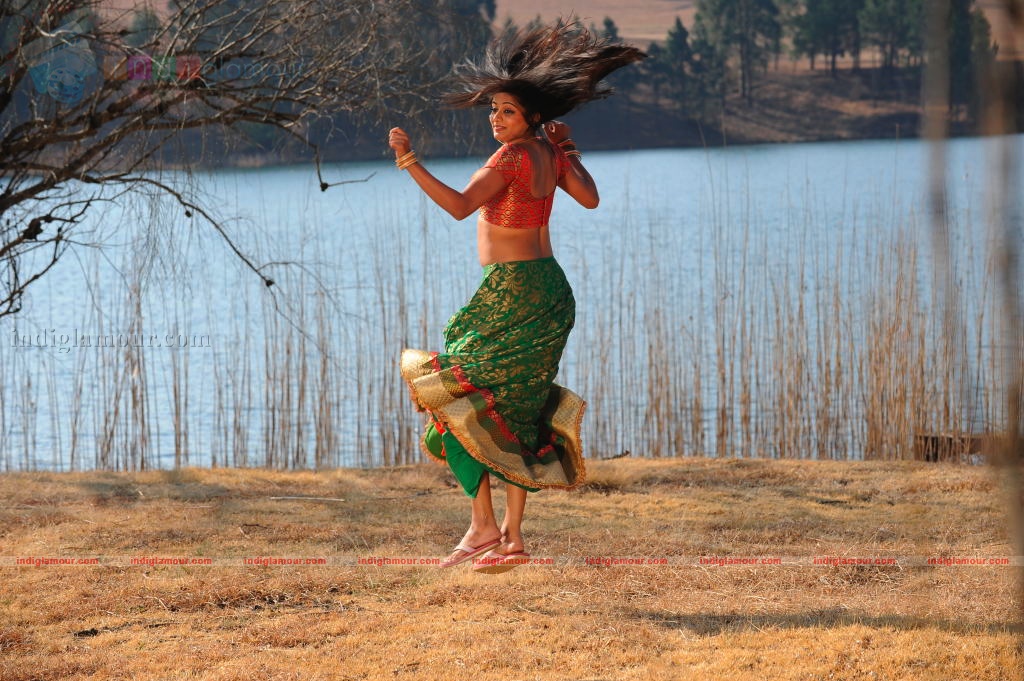 Priyamani Actress hd photo