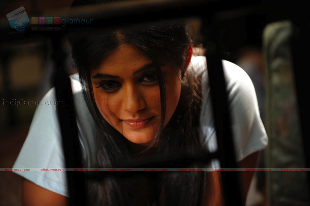 Priyamani Actress hd photo