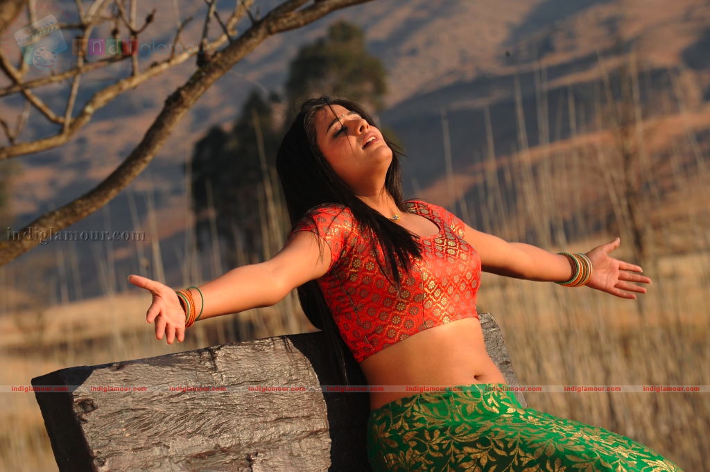 Priyamani Actress hd photo