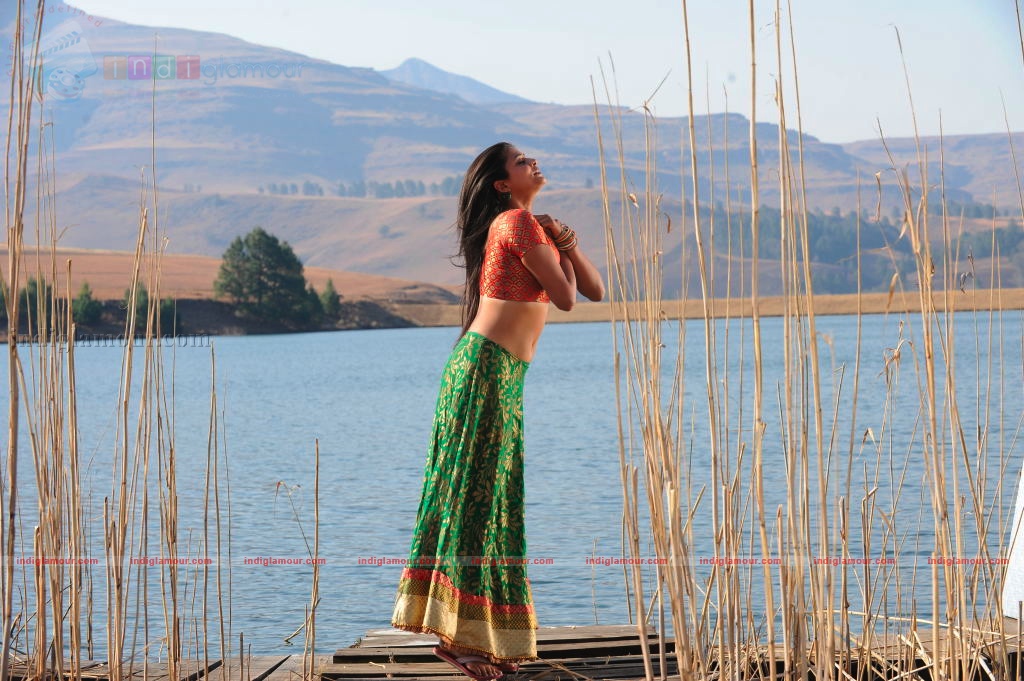 Priyamani Actress hd photo