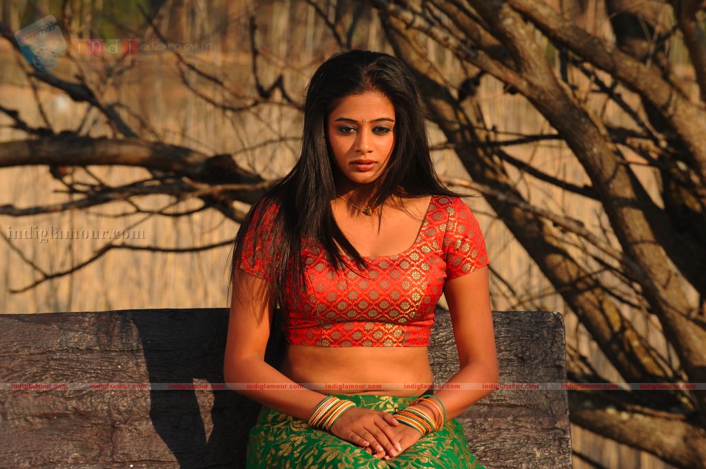 Priyamani Actress hd photo