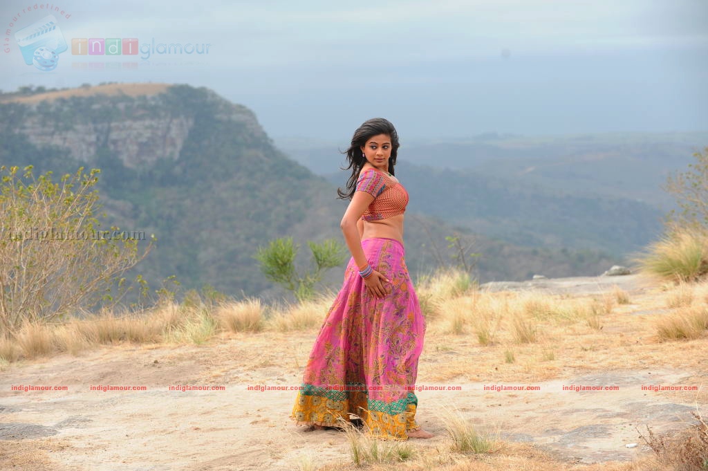 Priyamani Actress hd photo