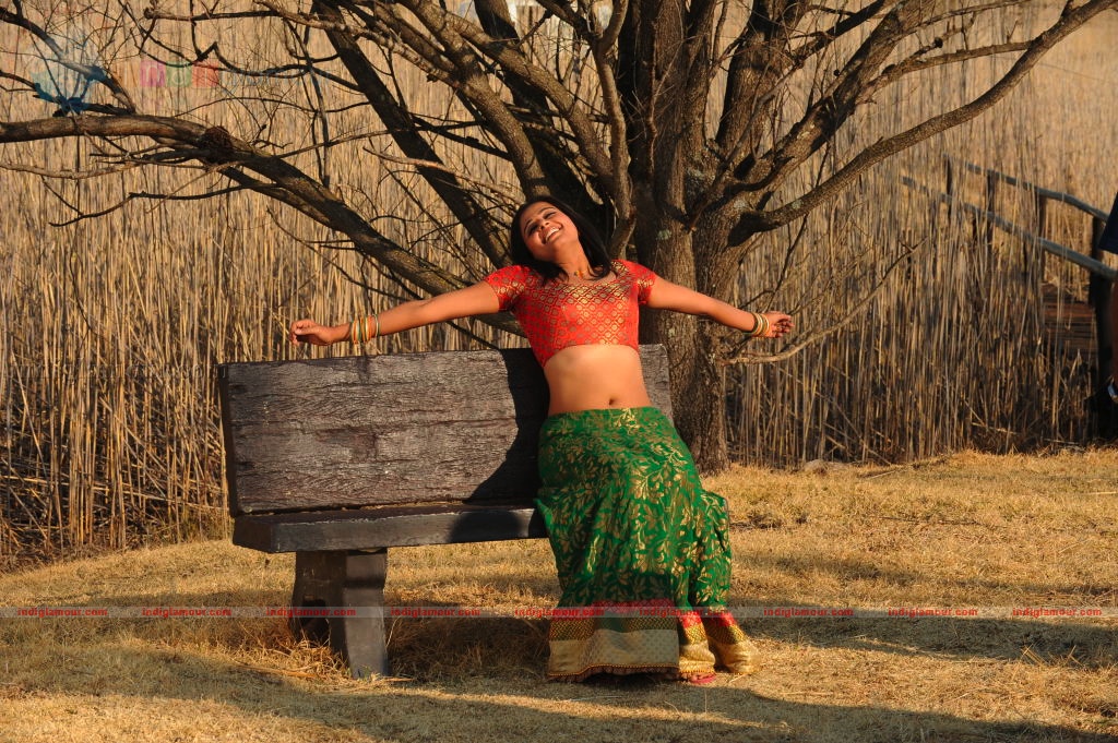 Priyamani Actress hd photo