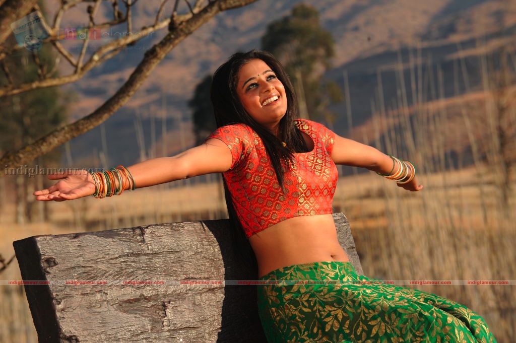 Priyamani Actress hd photo