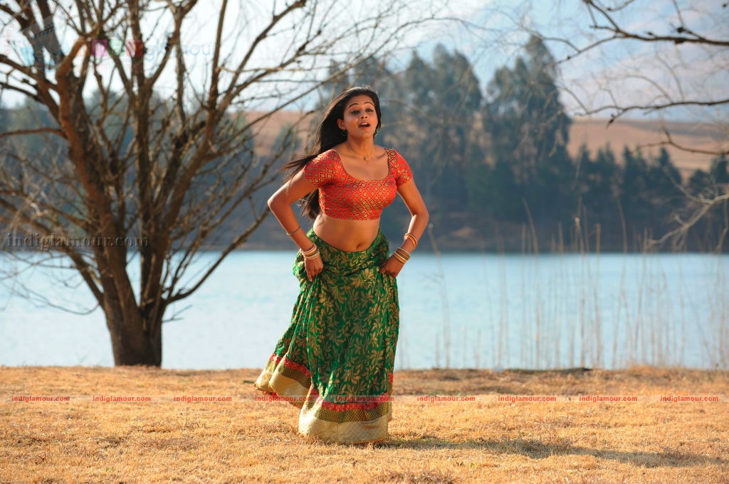 Priyamani Actress hd photo
