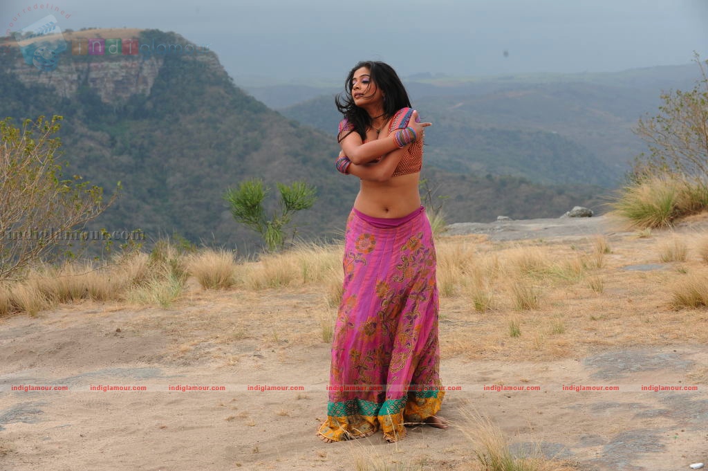 Priyamani Actress hd photo