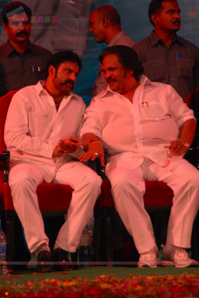 Adurs movie audio release Event hd photo