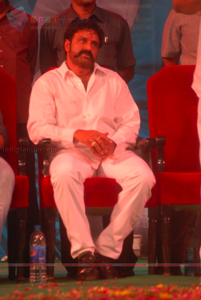 Adurs movie audio release Event hd photo