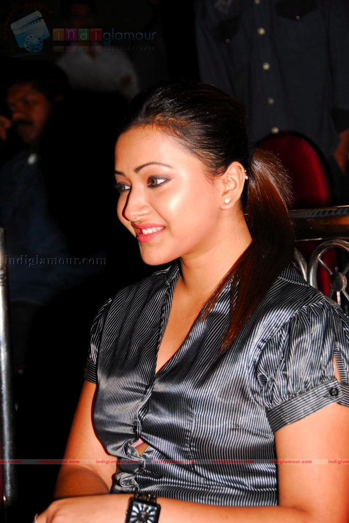Kalavar king audio launch Event hd photo