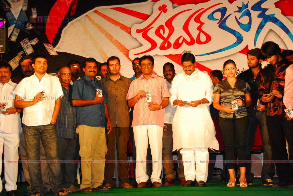 Kalavar king audio launch Event hd photo