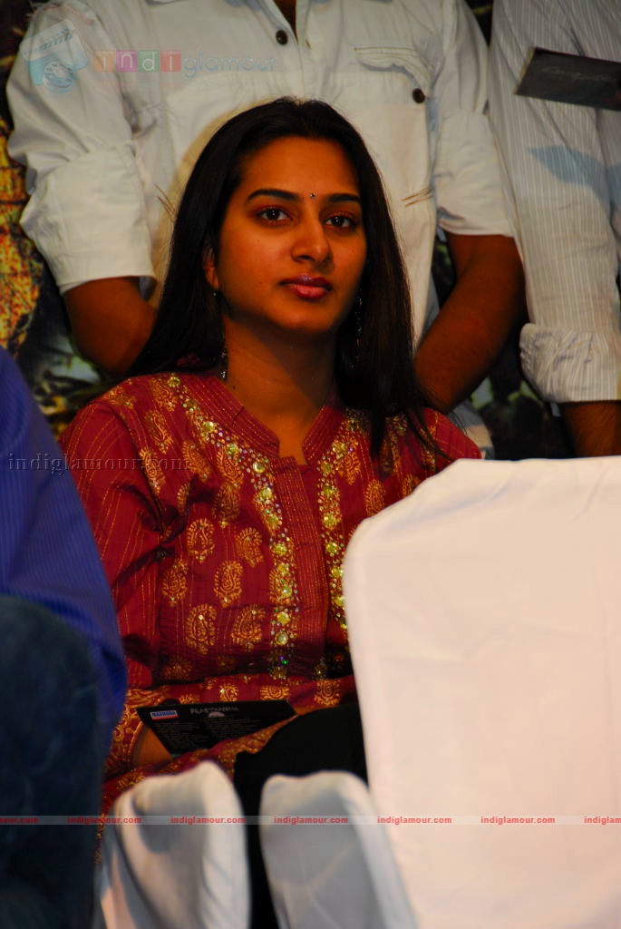 Prasthanam Audio release Event hd photo