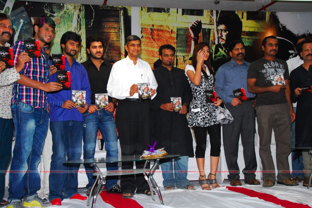Prasthanam Audio release Event hd photo