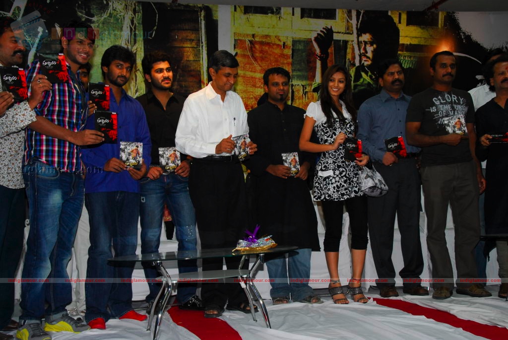 Prasthanam Audio release Event hd photo