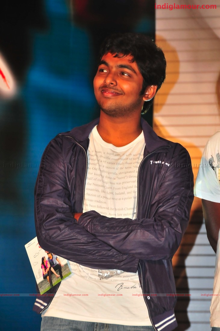 Darling Audio release Event hd photo
