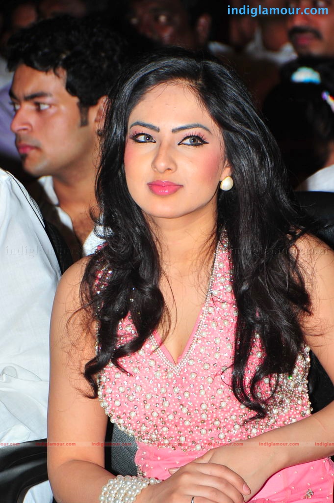 Komaram Puli Audio Release Event hd photo
