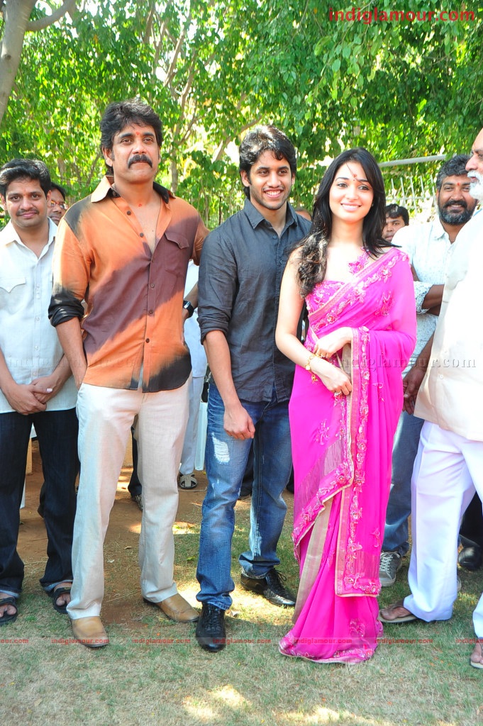 Naga Chaithanya Movie Launch Event hd photo