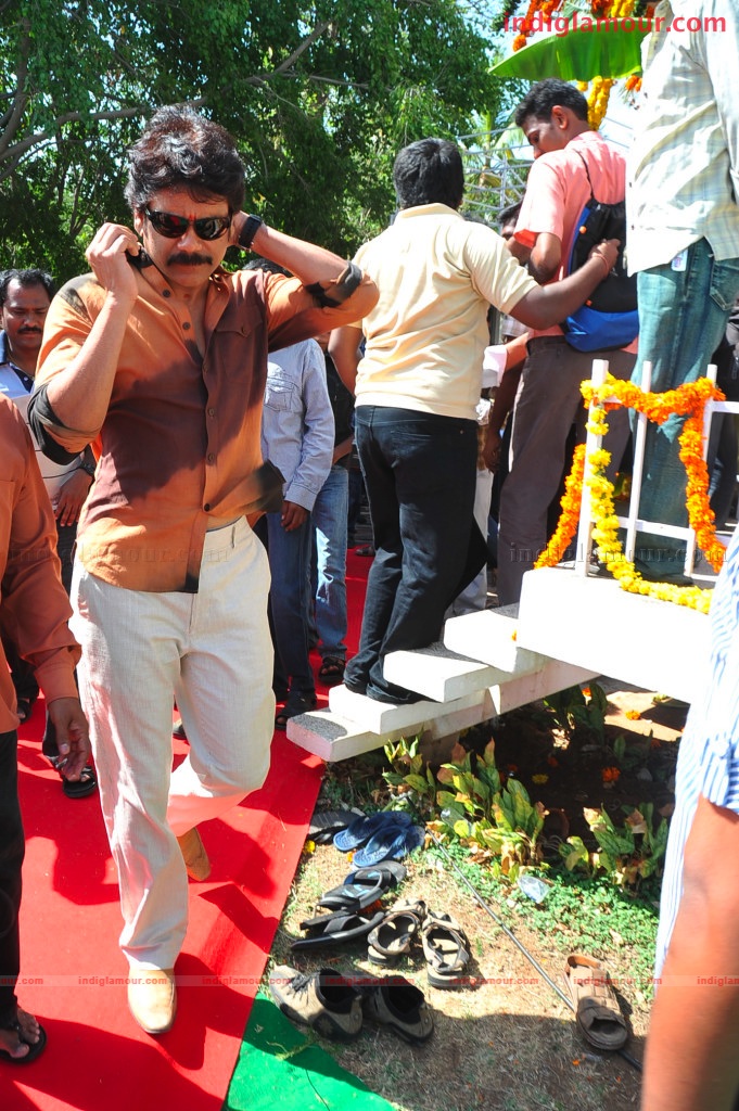 Naga Chaithanya Movie Launch Event hd photo