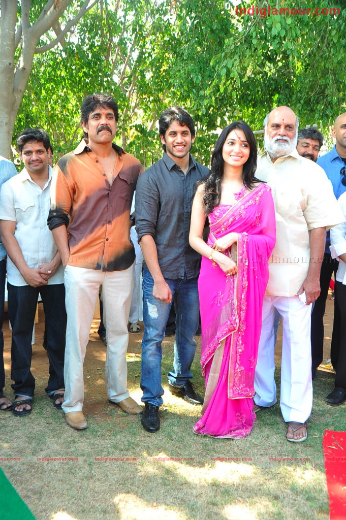 Naga Chaithanya Movie Launch Event hd photo