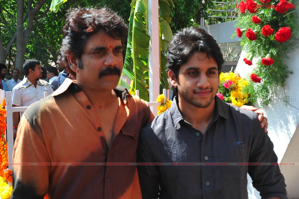 Naga Chaithanya Movie Launch Event hd photo