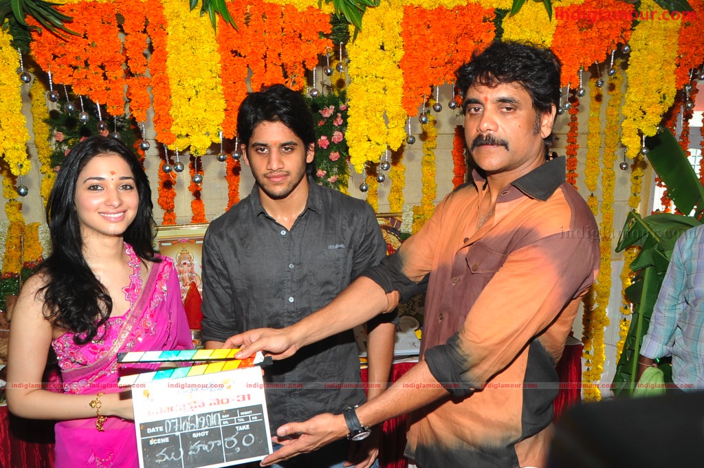 Naga Chaithanya Movie Launch Event hd photo