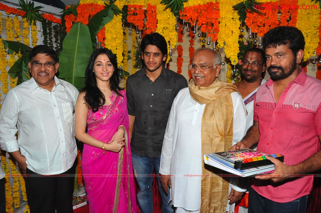 Naga Chaithanya Movie Launch Event hd photo