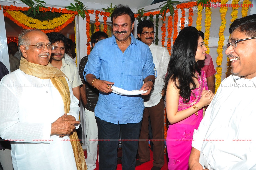 Naga Chaithanya Movie Launch Event hd photo