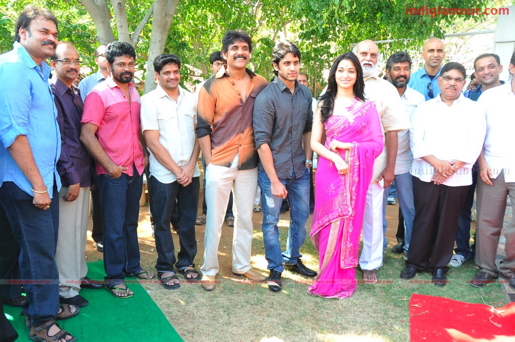 Naga Chaithanya Movie Launch Event hd photo