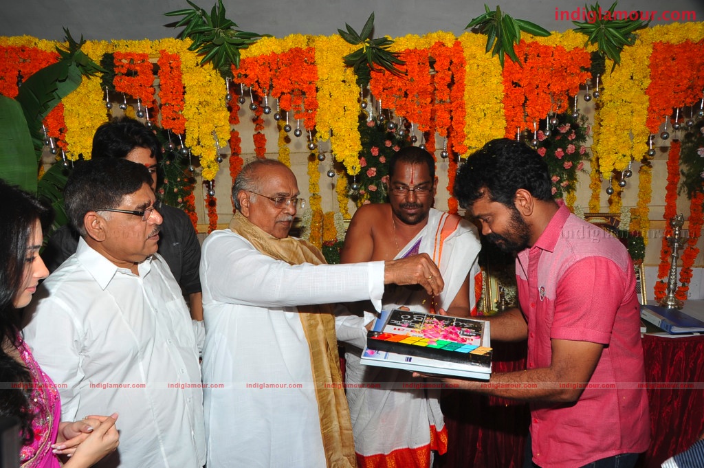 Naga Chaithanya Movie Launch Event hd photo